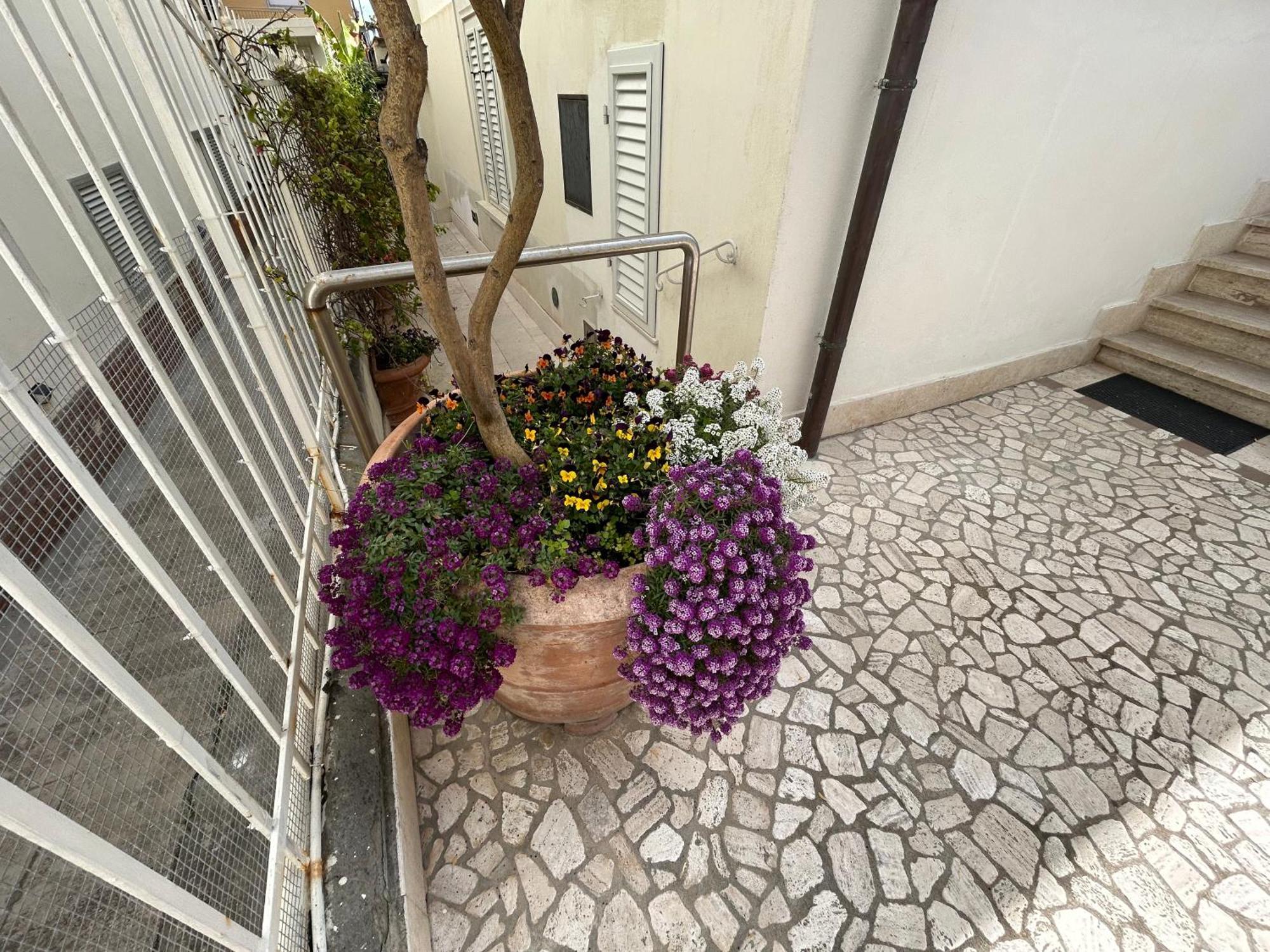 Ferienwohnung La Casa Di Rosi Al Mare Vada Exterior foto